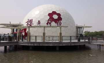 无锡太湖鼋头渚“樱花球幕”
